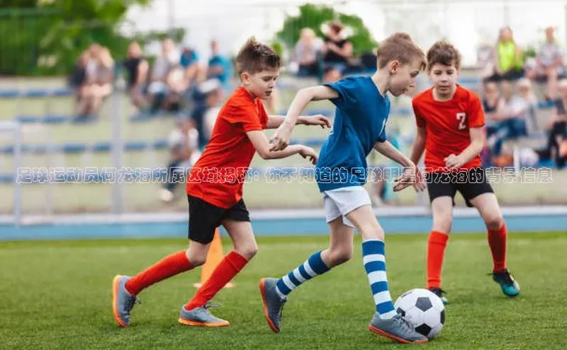 bv伟德官方网站金山办公足球运动员何龙海所属区域揭秘: 你不知道的足球明星何龙海的背景信息