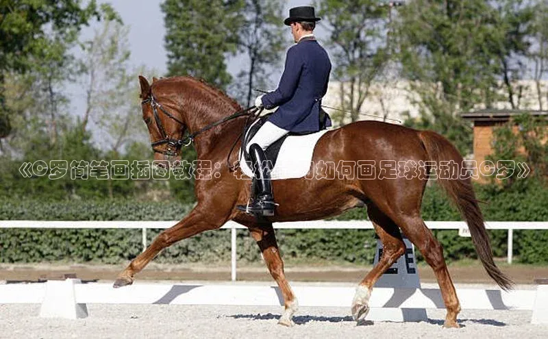 BETVlCTOR手机登录百度移动开放平台《C罗简笔画插图教程：轻松学习如何画足球运动员C罗》