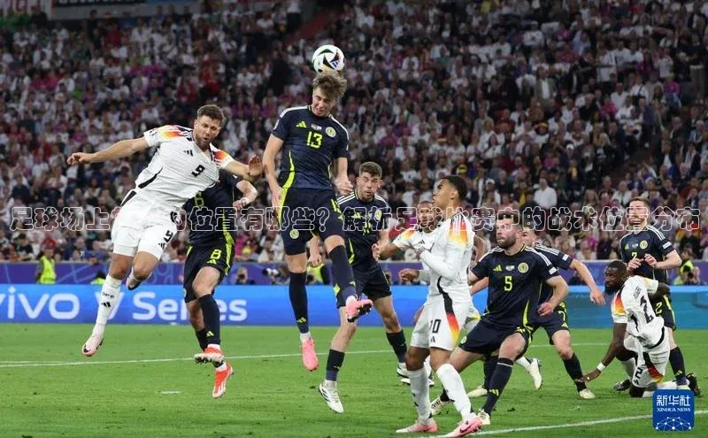 BETVLCTOR伟德入口阿里尔公司足球场上常见的位置有哪些？解析足球比赛中的战术位置分布