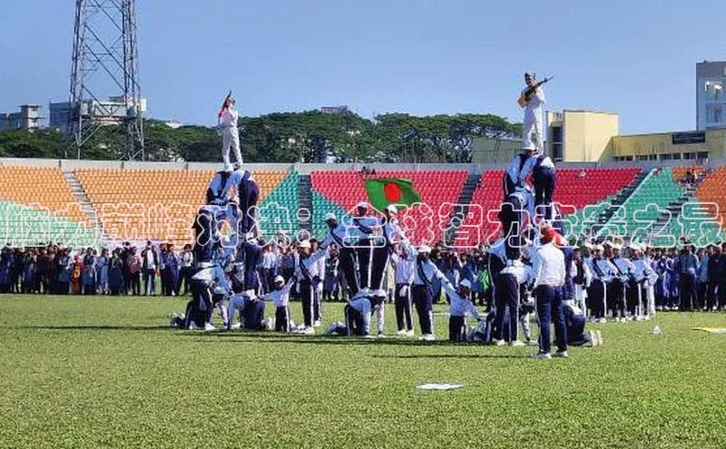 脑力巅峰对决：全球智力竞赛之最