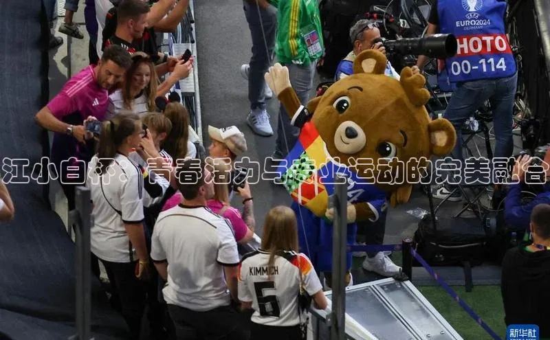 BETVlCTOR手机登录