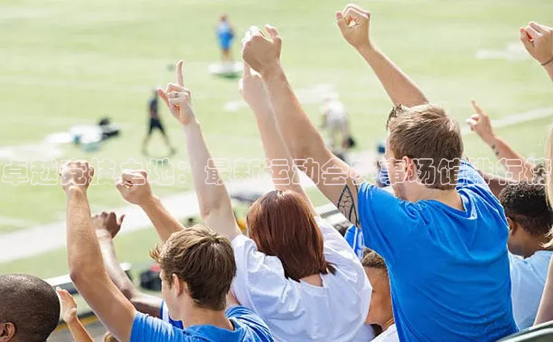 卓越竞技之地：最新运动会赛事场馆排行榜