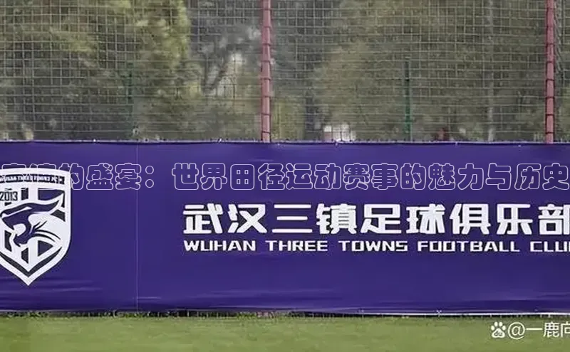 竞速的盛宴：世界田径运动赛事的魅力与历史