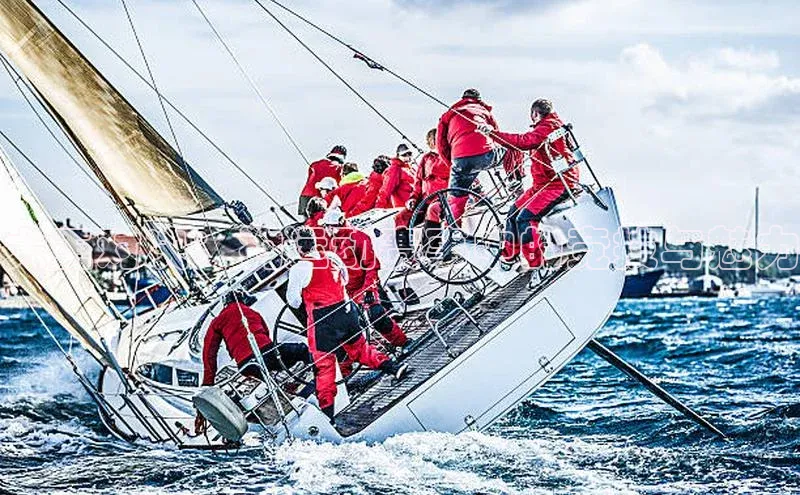 犬王对决：狗运动赛事中的竞技与魅力