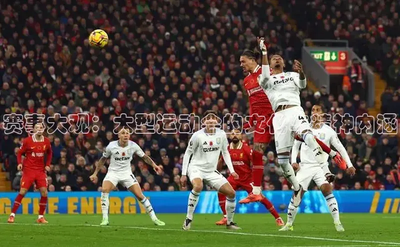 赛事大观：大型运动会的文化与精神内涵