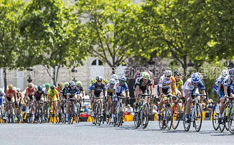 巅峰对决：人类顶级运动赛事的魅力与挑战