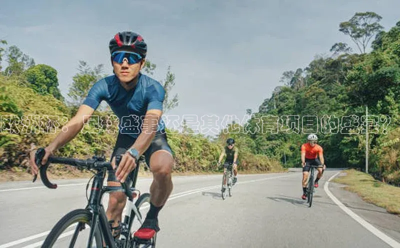 欧洲杯：足球盛事还是其他体育项目的盛宴？