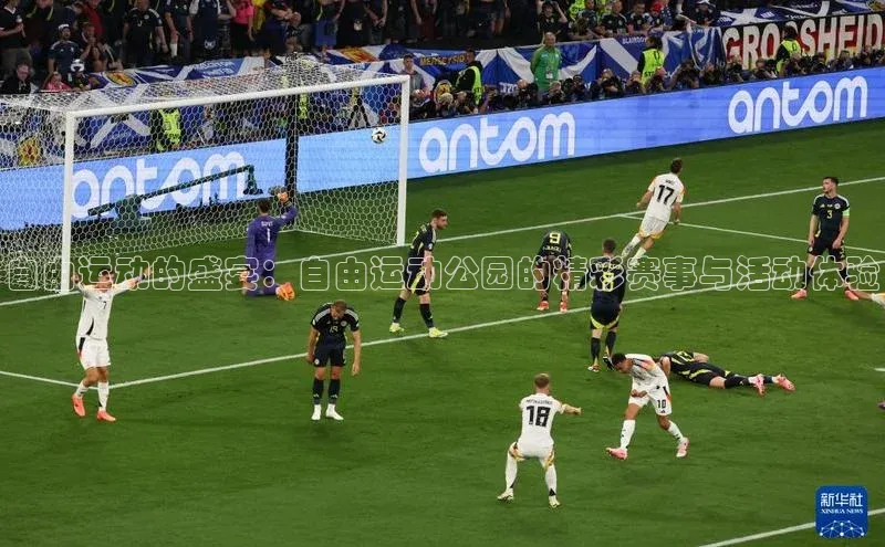 自由运动的盛宴：自由运动公园的精彩赛事与活动体验