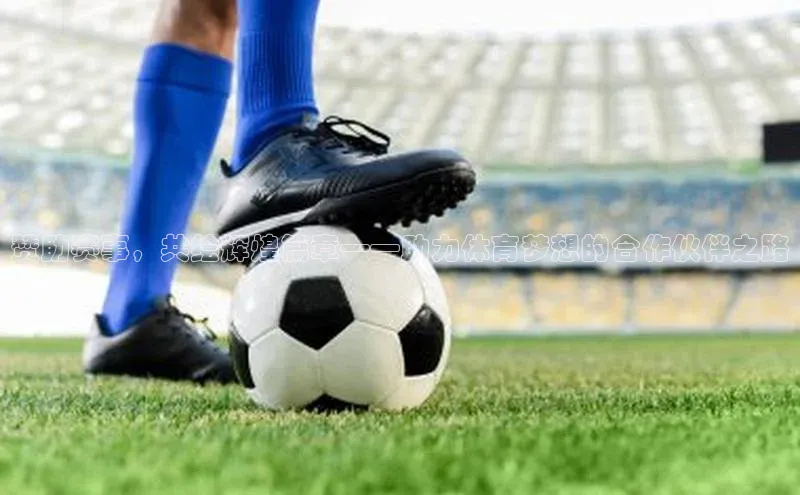 赞助赛事，共绘辉煌篇章——助力体育梦想的合作伙伴之路