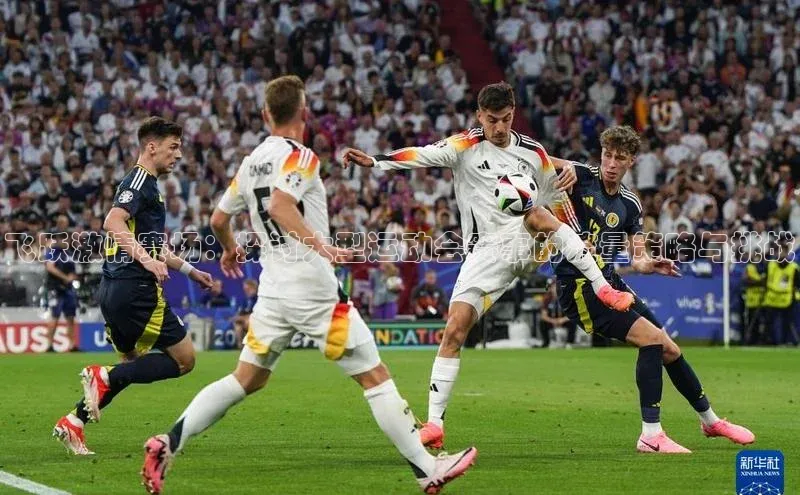 BETVLCTOR登录入口