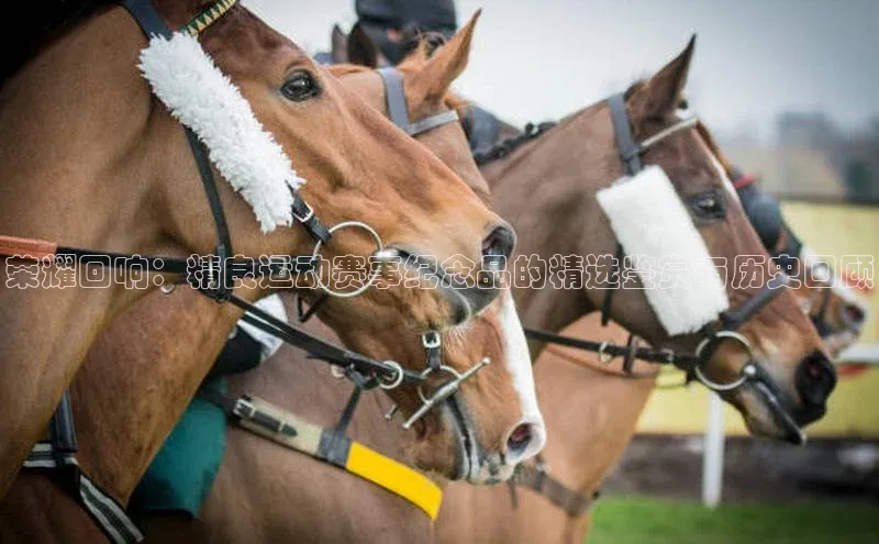 伟德BETVlCTOR1946官方网站